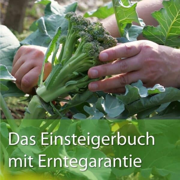 Gemüse für alle! – Das Alleskönner-Buch zur Gartenpraxis von meine ernte – Bild 3